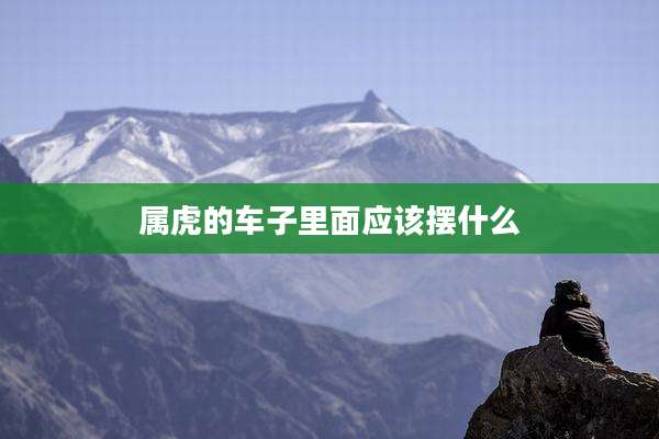 属虎的车子里面应该摆什么