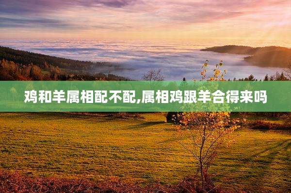 鸡和羊属相配不配,属相鸡跟羊合得来吗