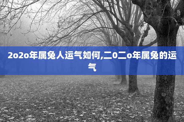 2o2o年属兔人运气如何,二0二o年属兔的运气