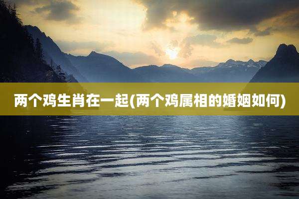 两个鸡生肖在一起(两个鸡属相的婚姻如何)