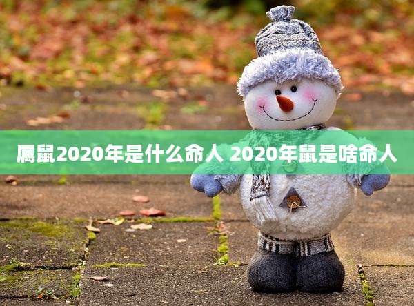 属鼠2020年是什么命人 2020年鼠是啥命人