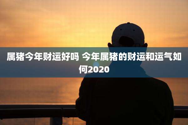 属猪今年财运好吗 今年属猪的财运和运气如何2020