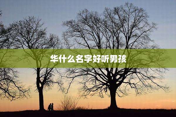 华什么名字好听男孩