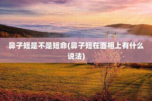 鼻子短是不是短命(鼻子短在面相上有什么说法)