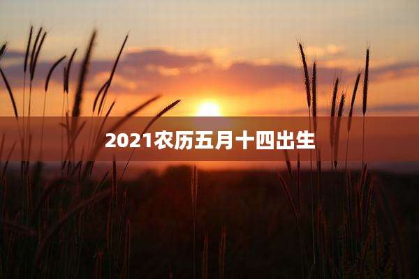 2021农历五月十四出生