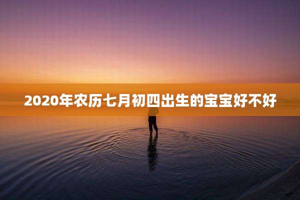 2020年农历七月初四出生的宝宝好不好