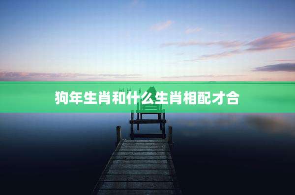 狗年生肖和什么生肖相配才合