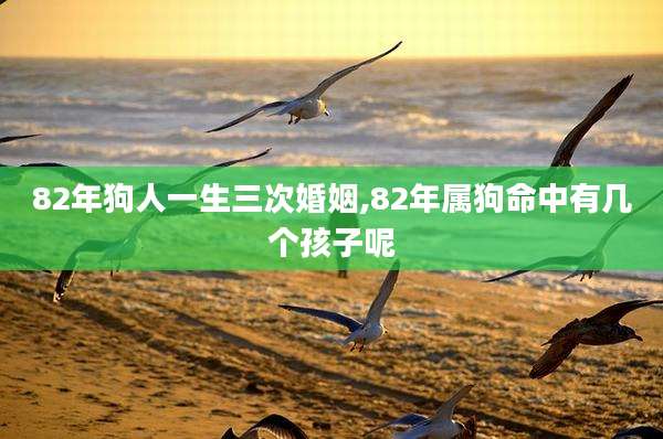 82年狗人一生三次婚姻,82年属狗命中有几个孩子呢