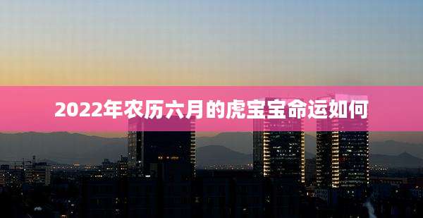2022年农历六月的虎宝宝命运如何