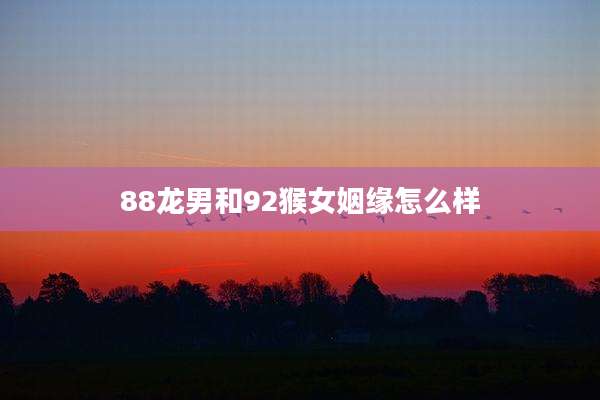88龙男和92猴女姻缘怎么样