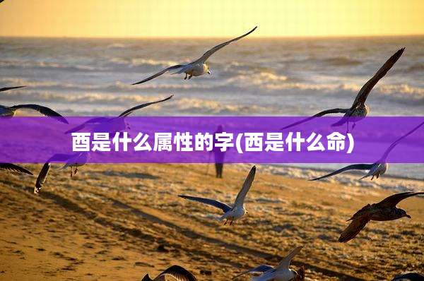 酉是什么属性的字(西是什么命)