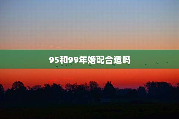 95和99年婚配合适吗