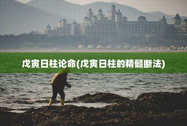 戊寅日柱论命(戊寅日柱的精髓断法)