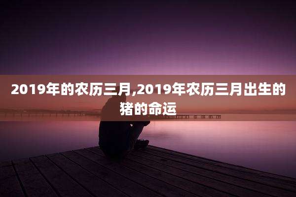 2019年的农历三月,2019年农历三月出生的猪的命运