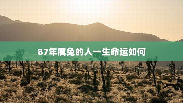 87年属兔的人一生命运如何