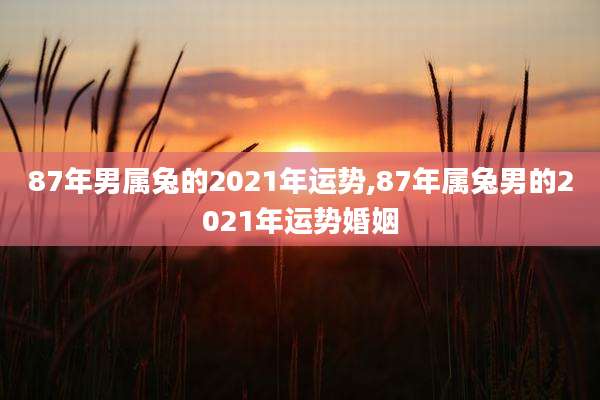 87年男属兔的2021年运势,87年属兔男的2021年运势婚姻
