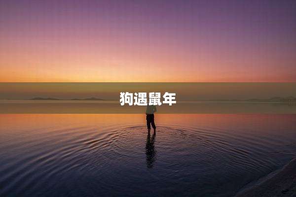 狗遇鼠年