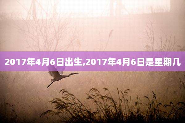 2017年4月6日出生,2017年4月6日是星期几