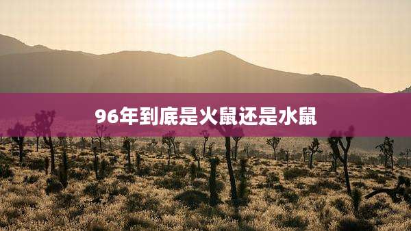 96年到底是火鼠还是水鼠