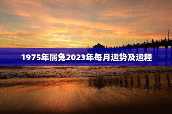 1975年属兔2023年每月运势及运程