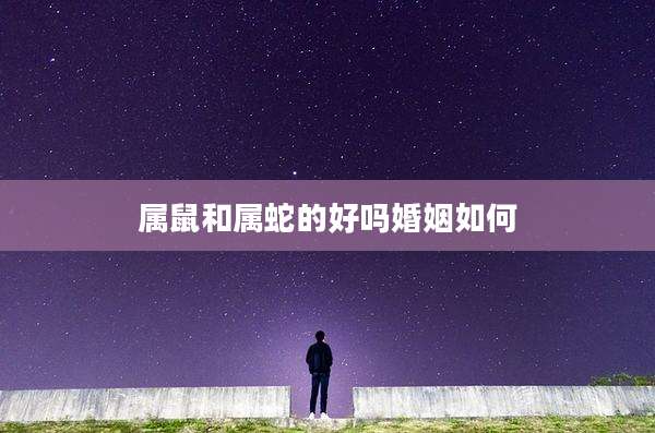 属鼠和属蛇的好吗婚姻如何