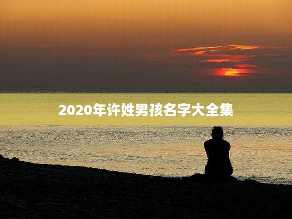 2020年许姓男孩名字大全集