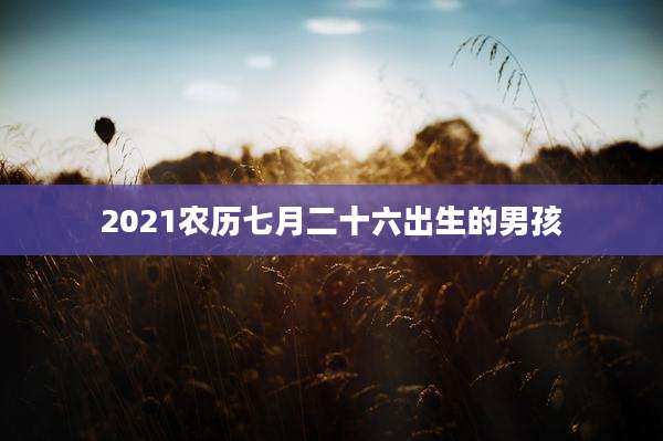 2021农历七月二十六出生的男孩