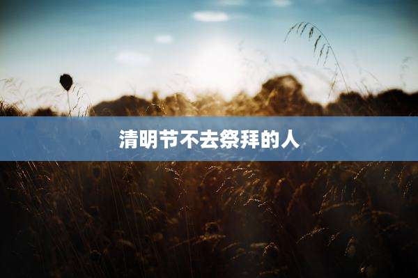 清明节不去祭拜的人