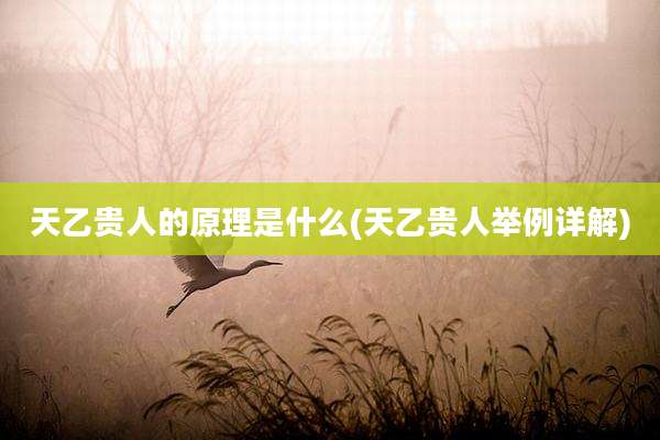 天乙贵人的原理是什么(天乙贵人举例详解)