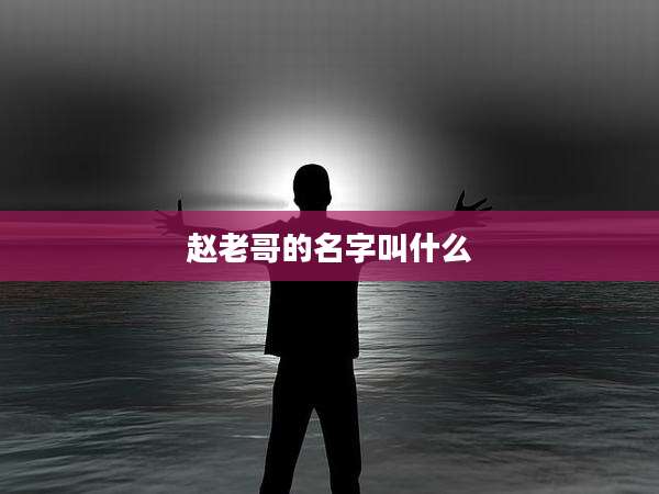赵老哥的名字叫什么
