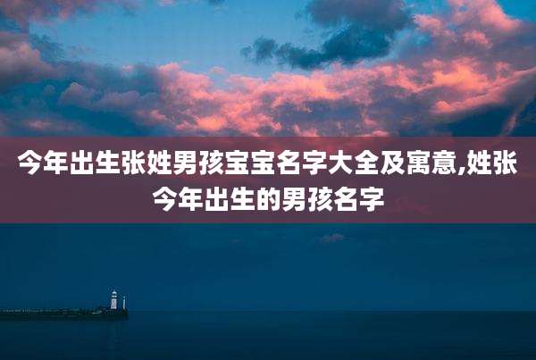 今年出生张姓男孩宝宝名字大全及寓意,姓张今年出生的男孩名字