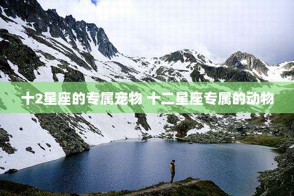 十2星座的专属宠物 十二星座专属的动物