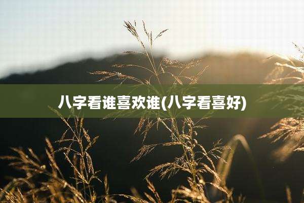 八字看谁喜欢谁(八字看喜好)