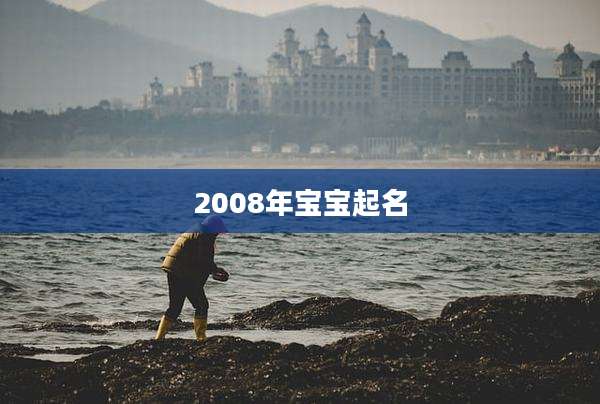 2008年宝宝起名