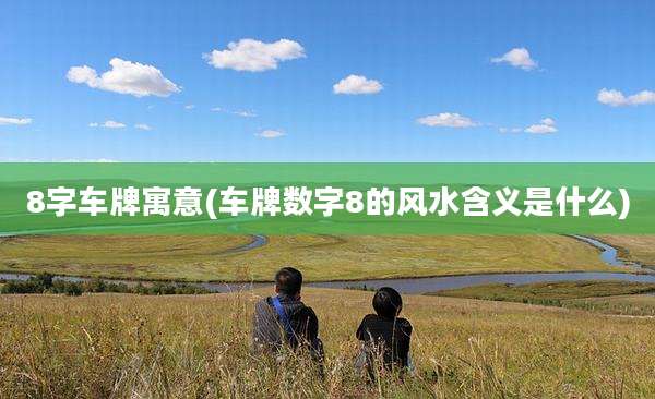 8字车牌寓意(车牌数字8的风水含义是什么)
