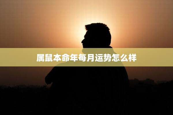 属鼠本命年每月运势怎么样