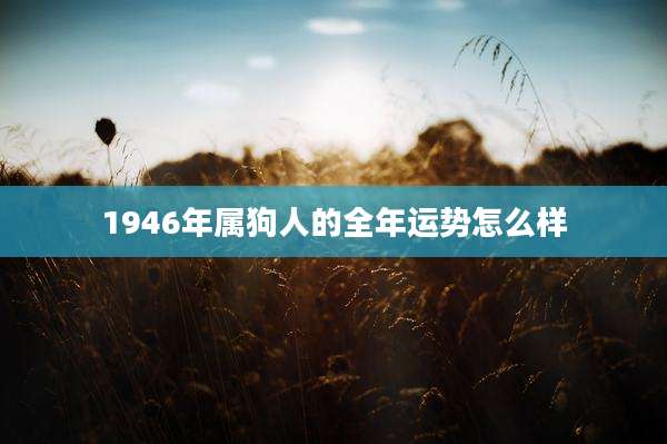 1946年属狗人的全年运势怎么样