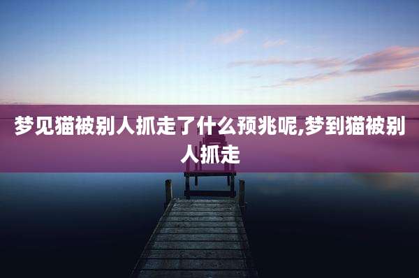 梦见猫被别人抓走了什么预兆呢,梦到猫被别人抓走