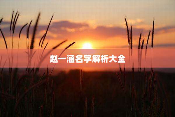 赵一涵名字解析大全