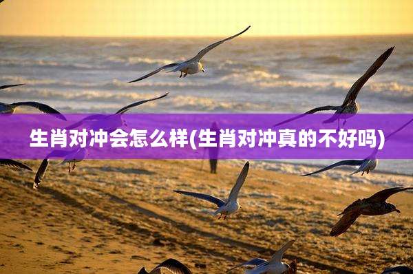 生肖对冲会怎么样(生肖对冲真的不好吗)
