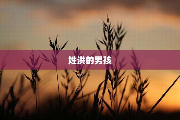 姓洪的男孩