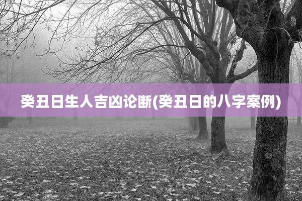 癸丑日生人吉凶论断(癸丑日的八字案例)