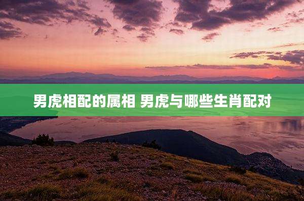男虎相配的属相 男虎与哪些生肖配对
