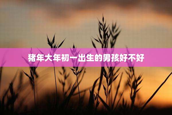 猪年大年初一出生的男孩好不好