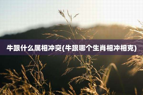 牛跟什么属相冲突(牛跟哪个生肖相冲相克)
