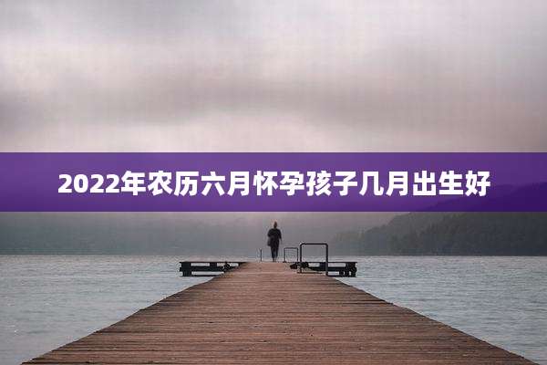 2022年农历六月怀孕孩子几月出生好