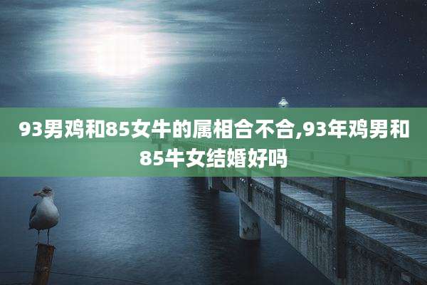93男鸡和85女牛的属相合不合,93年鸡男和85牛女结婚好吗