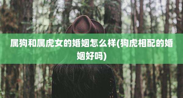 属狗和属虎女的婚姻怎么样(狗虎相配的婚姻好吗)