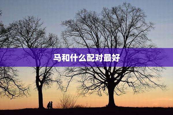 马和什么配对最好