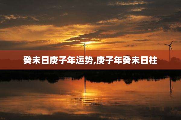 癸未日庚子年运势,庚子年癸未日柱